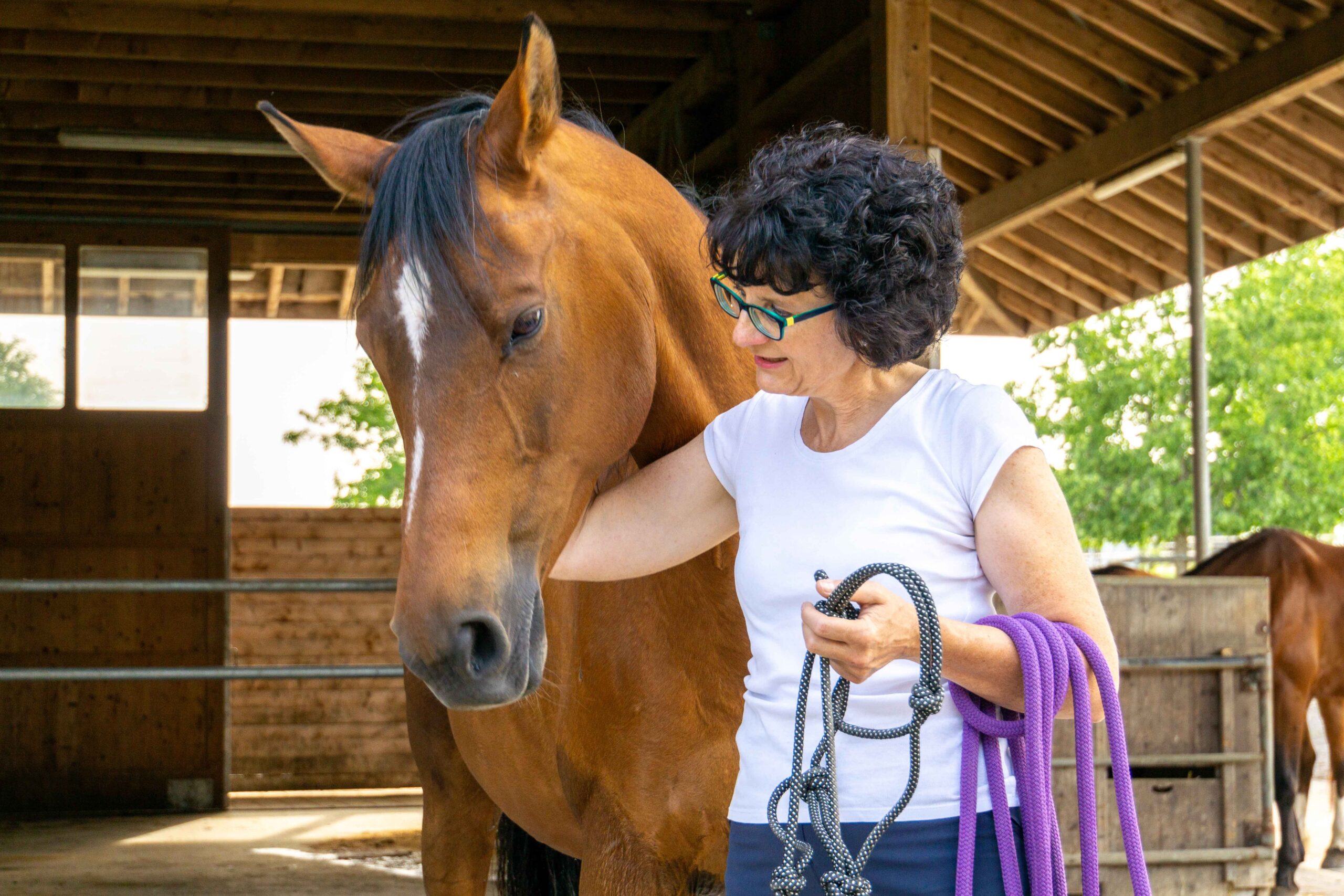 Alyssa Pferde Coach, Vertrauen