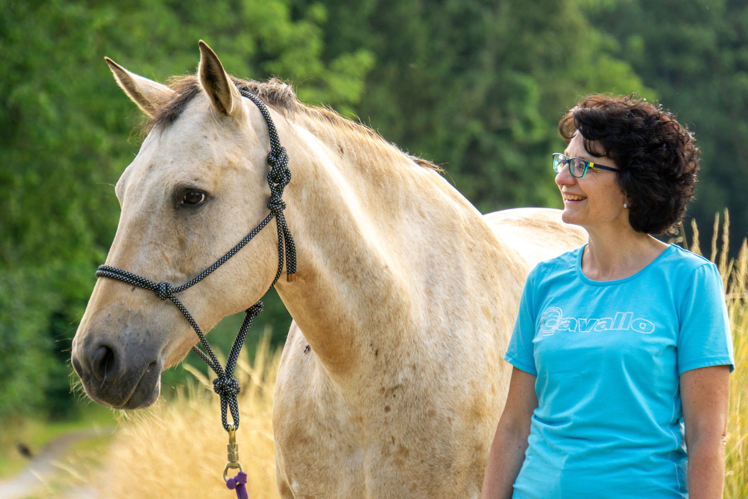 Bella Pferde Coach, Zuversicht