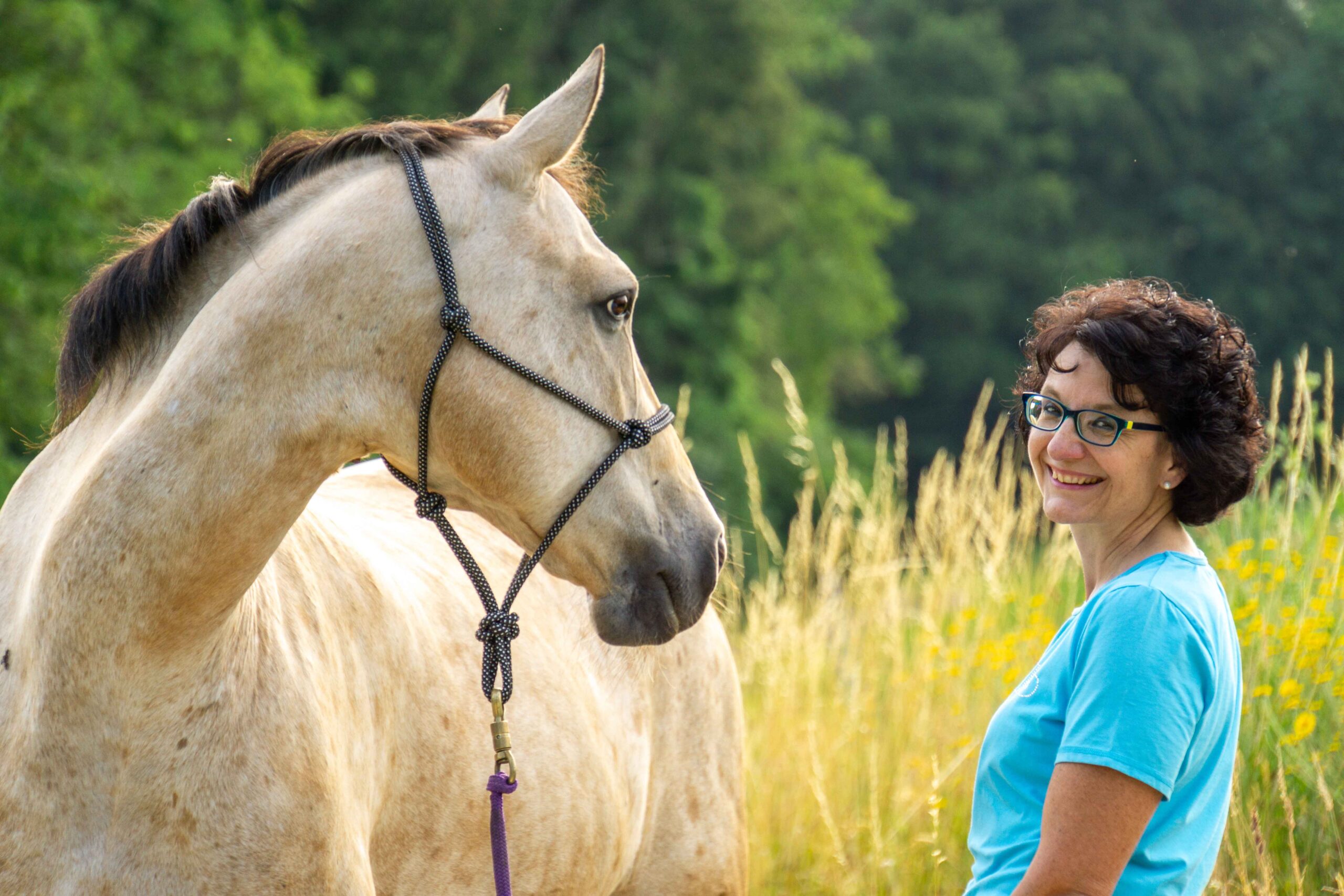 Bella Pferde Coach, Klarheit