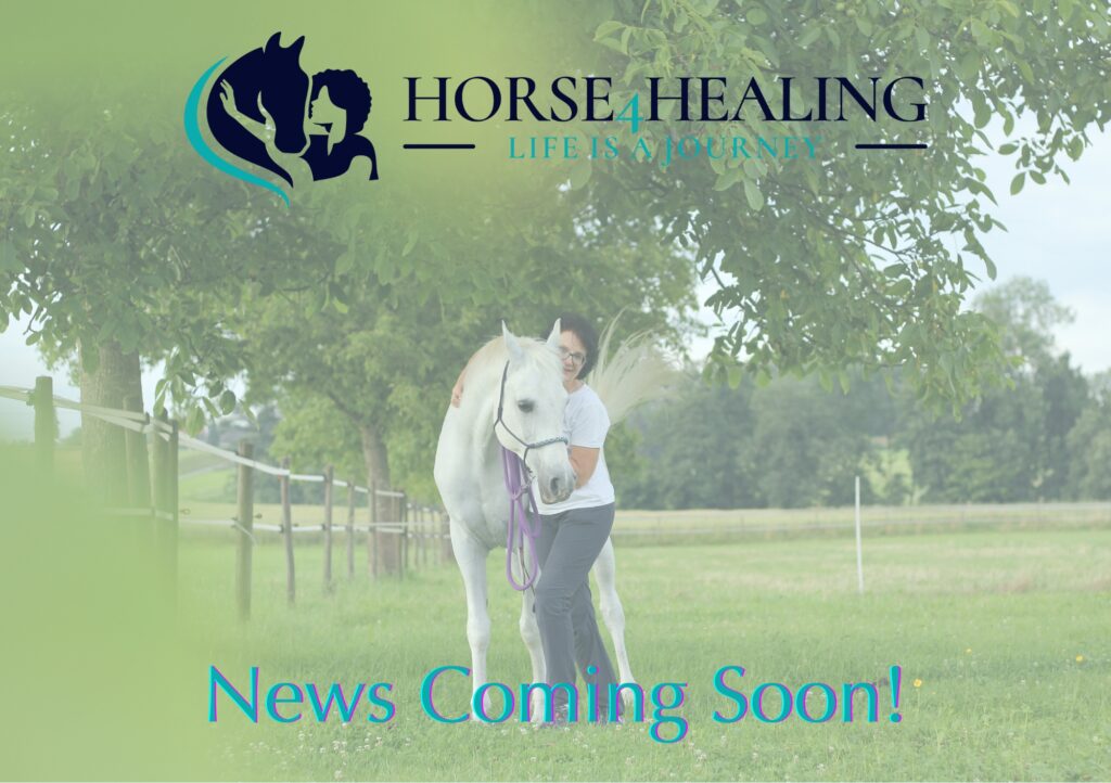 HORSE4HEALING News Coming Soon